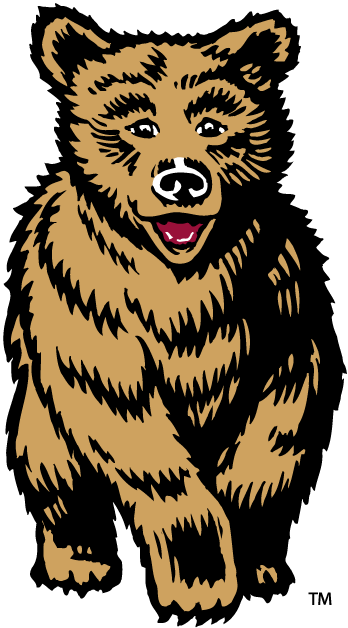 Montana Grizzlies 1996-2009 Mascot Logo DIY iron on transfer (heat transfer)